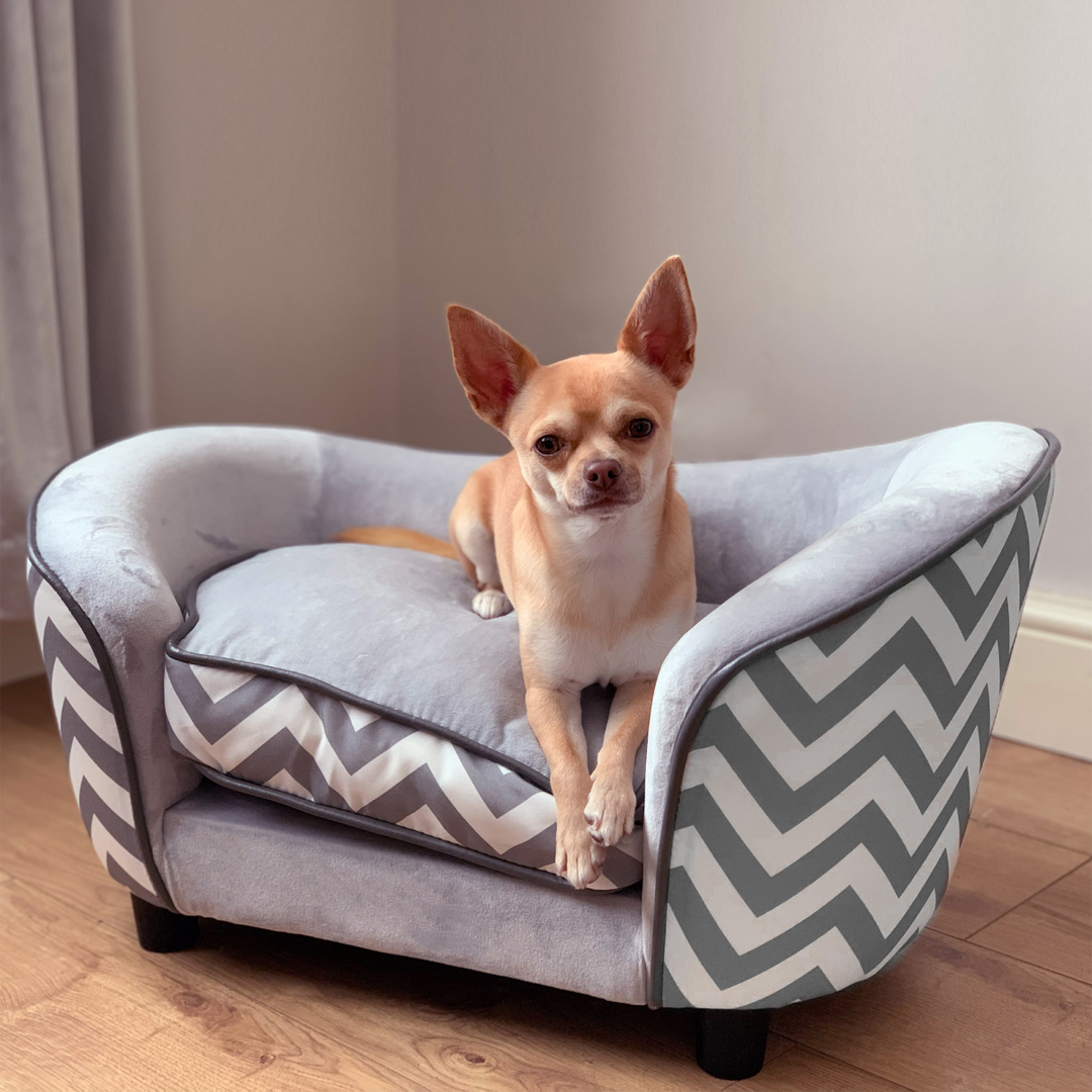 PawHut Grey Pet Couch: Cozy Sofa with Removable Cushion for XS Dogs