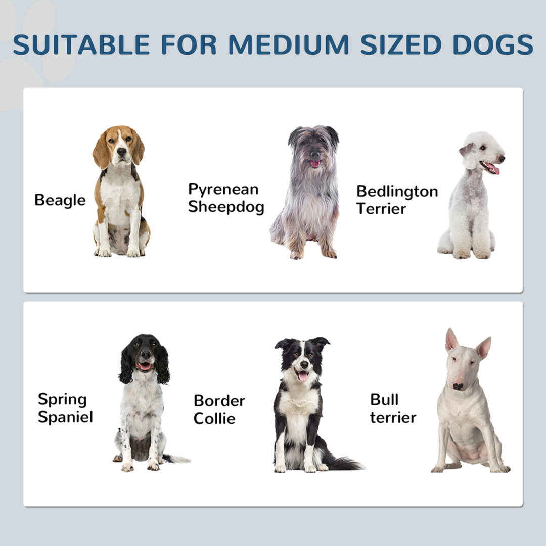 PawHut Dog Feeding Station with Storage, Pet Feeding Station with Dog Bowls