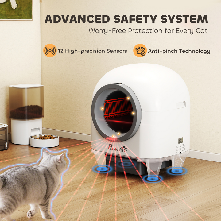 Cat Litter Box