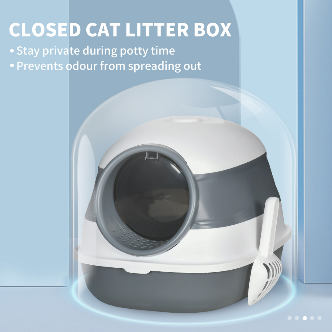PawHut Hooded Cat Litter Box: Odor-Control, Easy Clean, Private Space