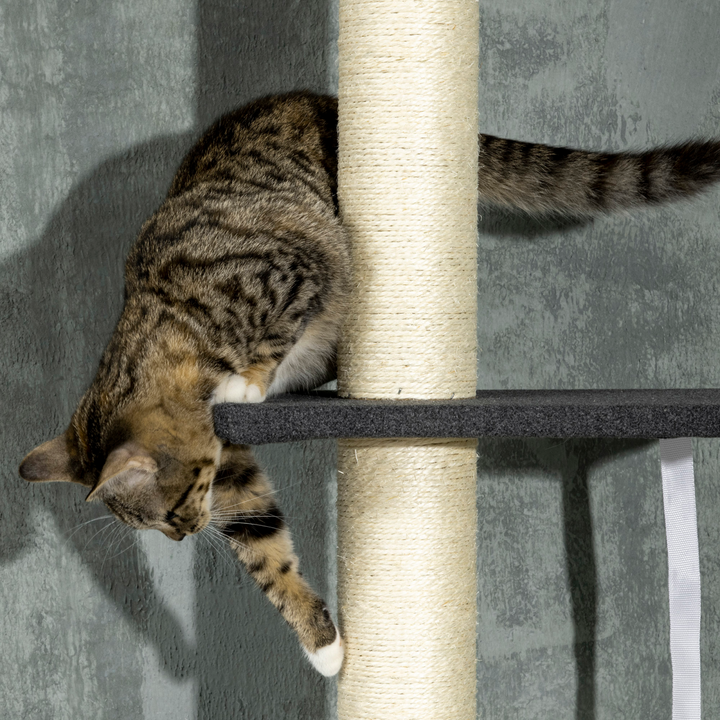 PawHut Adjustable Cat Tree: Ultimate Climbing Playground & Cozy Retreat