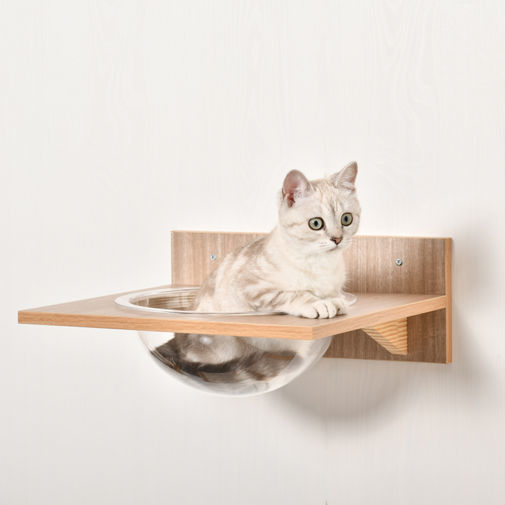 Cat Tree 4PCs Wall-mounted Shelf Set Climbing Tower W/ Hammock Scratching Post