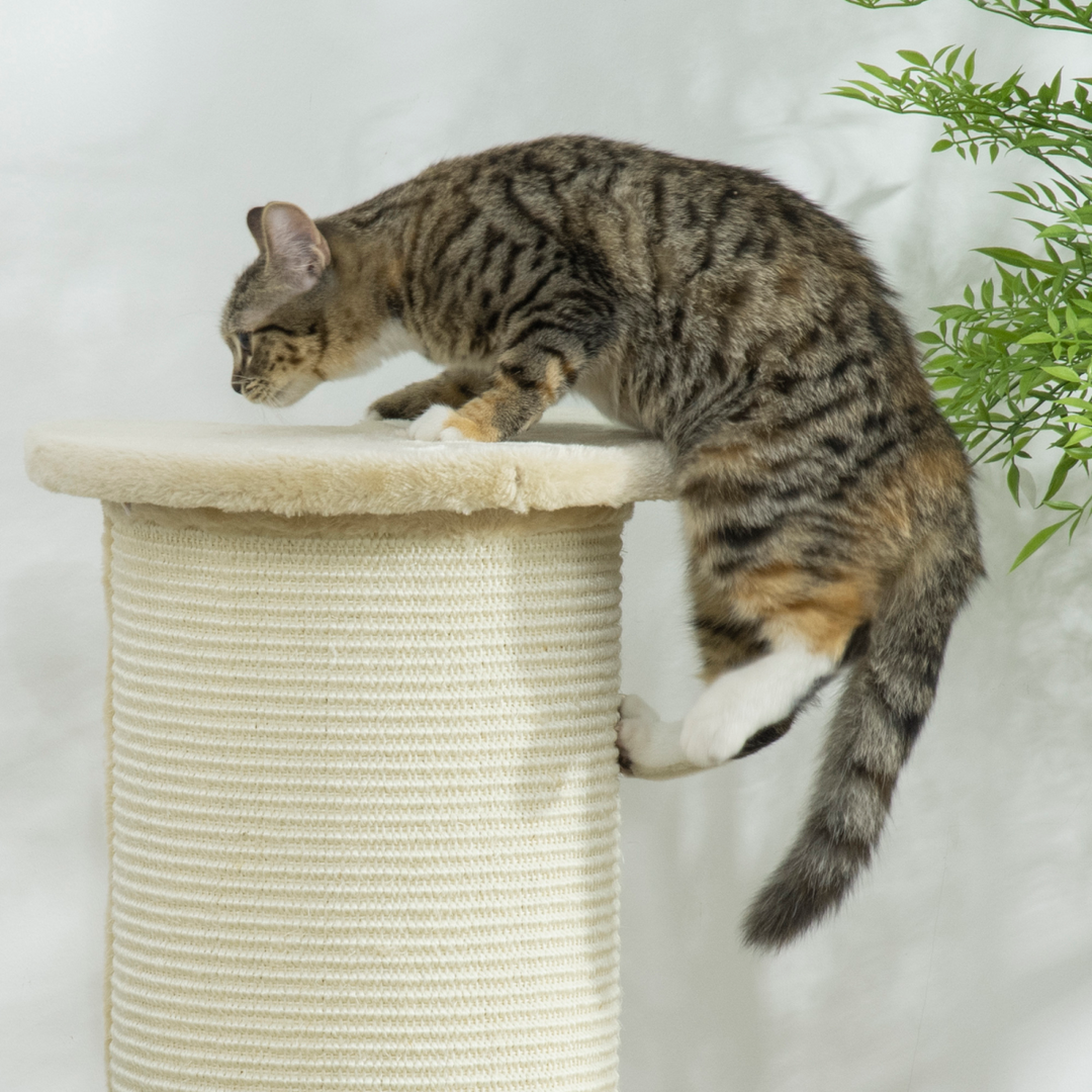 Deluxe 85cm Cat Scratching Post – Beige Sisal Rope Tower with Plush Cover & Anti-Tip Base