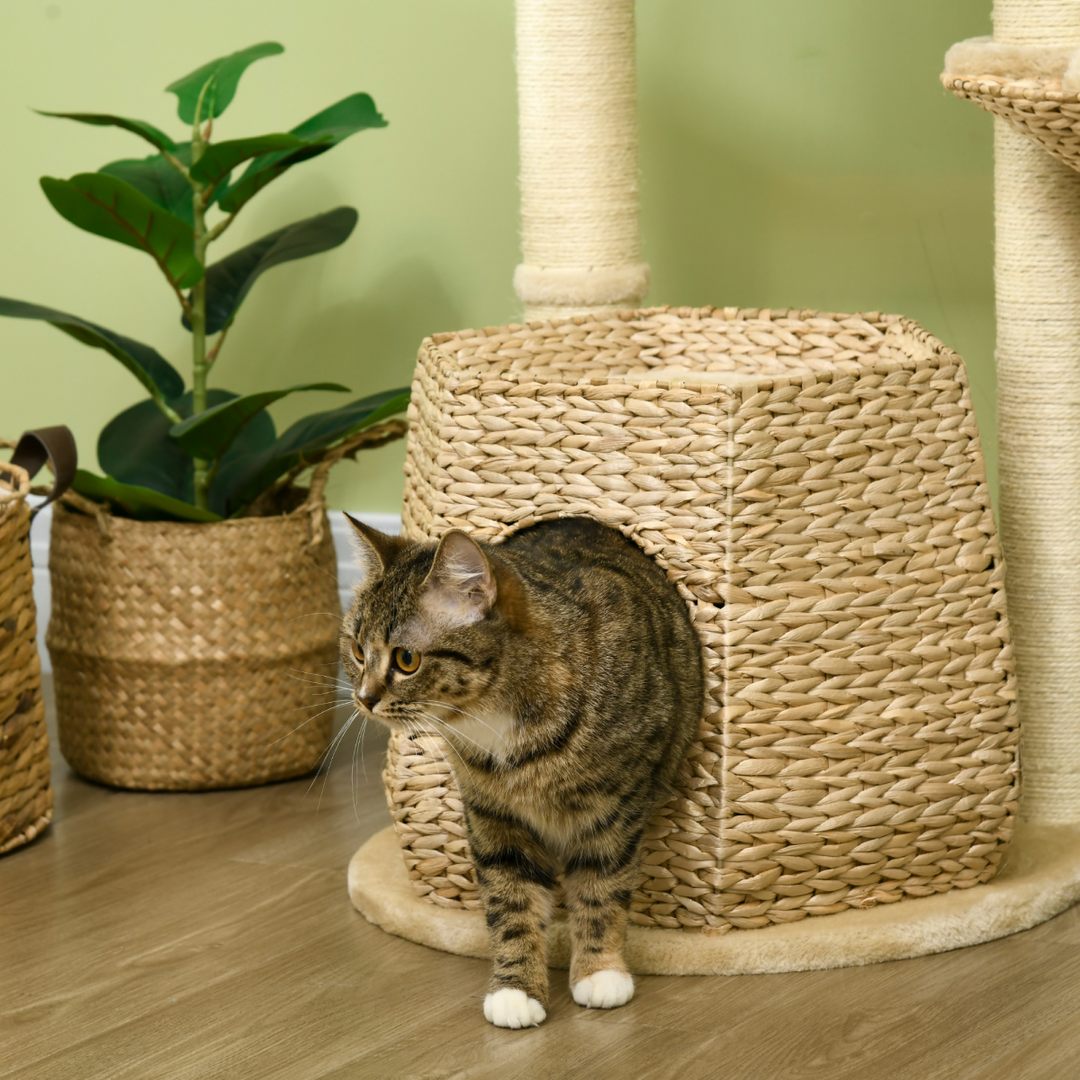 PawHut Multi-Level Cat Tree with Cattail Bed, Sisal Posts & Play Ball
