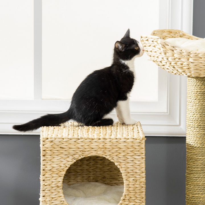 PawHut Cat Tree: Ultimate Kitten Tower with Scratching Posts & Cozy Retreat