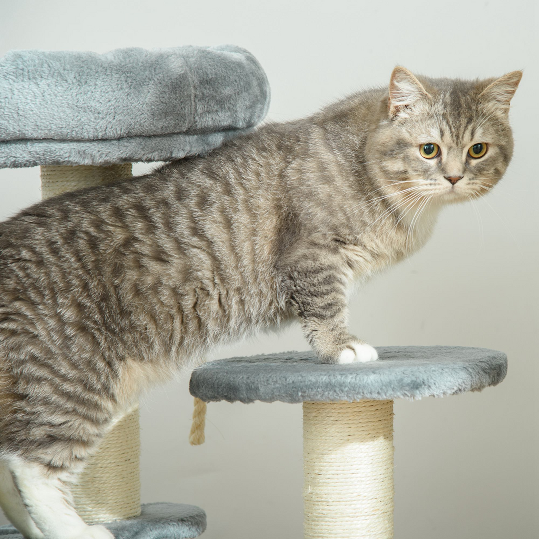 PawHut Cat Tree: 2-Perch Scratching Post & Play Center with Hanging Rope