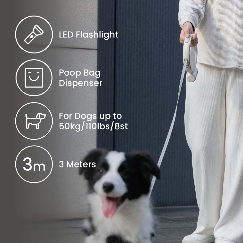 Lumi Leash 4-in-1 Retractable Dog Lead (3m) with LED Torch &amp; Poop Bag Dispenser