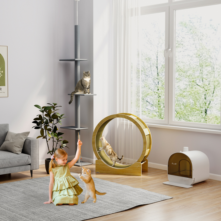 Privacy Plus Hooded Cat Litter Box: Easy Clean, Odor Control, Durable Design