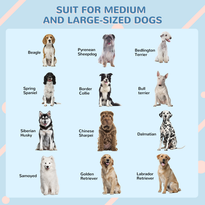 PawHut Blue Weather-Resistant Dog House – Stylish Shelter for Large Breed