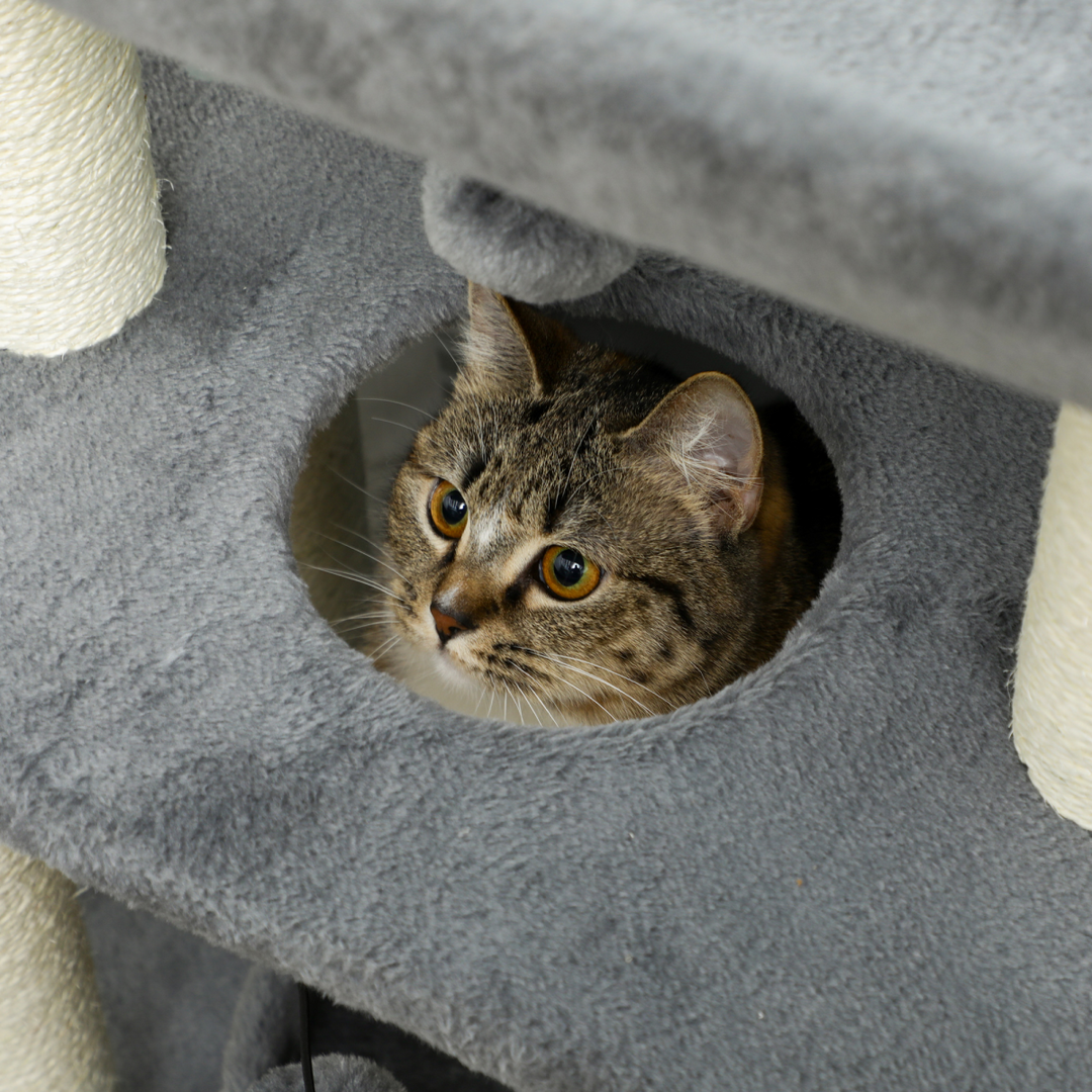 Ultimate Indoor Cat Tree Tower: Scratching Posts, Cozy Pad & Playful Ball!