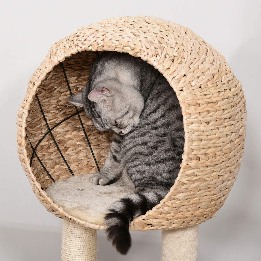 PawHut 100cm Cat Tree Tower: Cozy Condo & Fun Climbing Adventure!