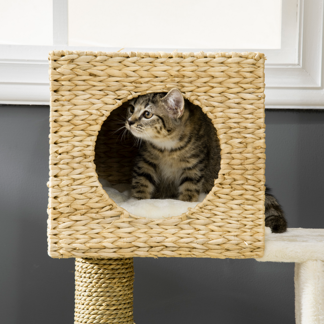 PawHut Cat Tree: Ultimate Kitten Tower with Scratching Posts & Cozy Retreat