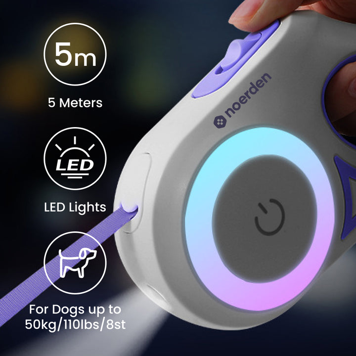 Flexi Leash LED Retractable Dog Lead (5m) with Touch-Control Lights | Purple