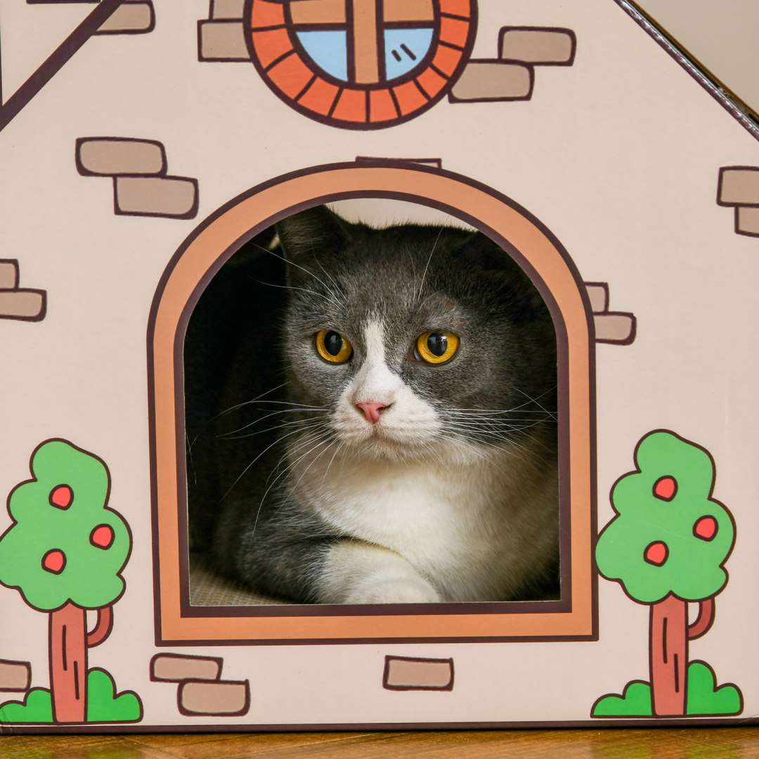 PawHut Eco-Friendly Cat House & Scratcher - Fun Retreat for Indoor Cats!