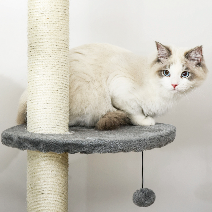 Multi-Level Light Grey Cat Tree with Scratch Post & Fun Play Features