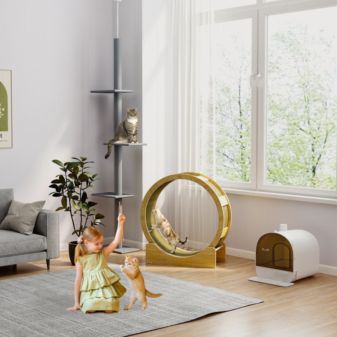 PawHut Cat Exercise Wheel with Safety Brake & Replaceable Scratch Pads – Wooden Cat Running Wheel for Fitness and Fun