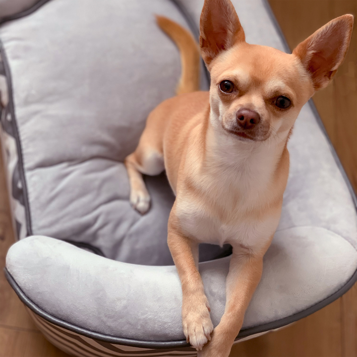 PawHut Dog Sofa Pet Couch for XS Dogs with Removable Sponge Padded Cushion Grey