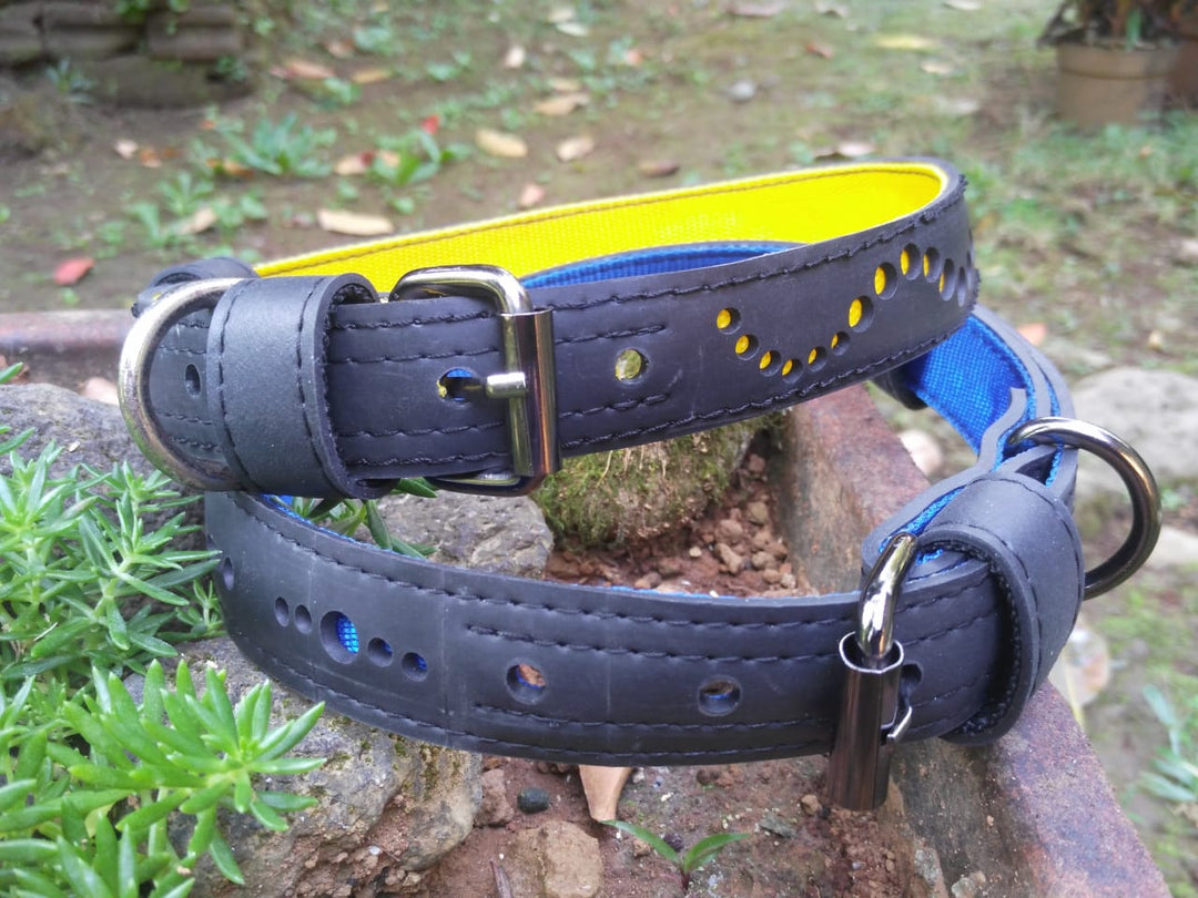 Eco Friendly Recycled Inner Tube Vegan Dog Collar