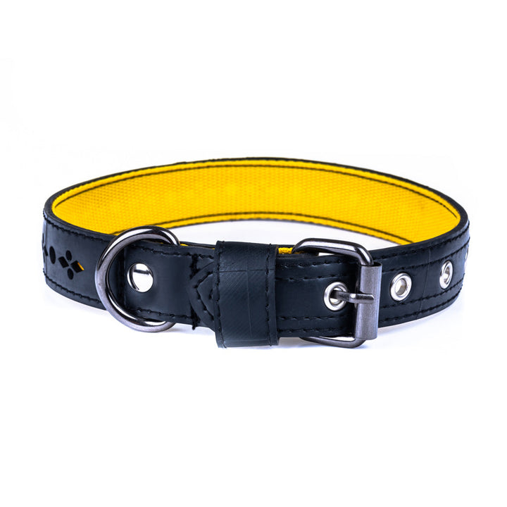 Eco Friendly Recycled Inner Tube Vegan Dog Collar