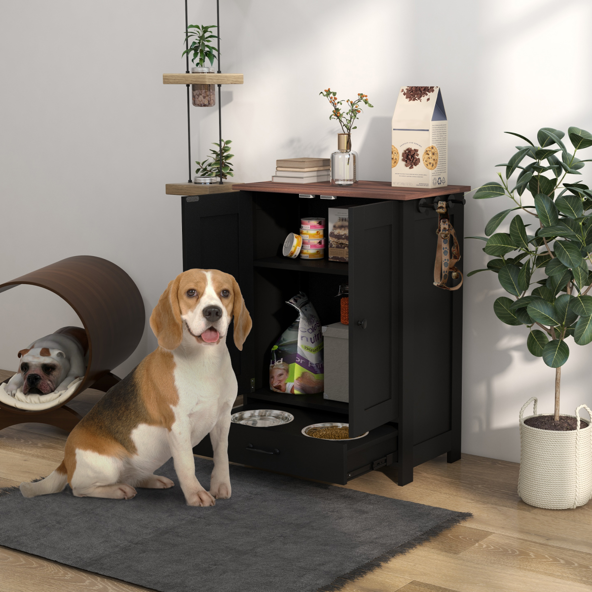 Dog standing in front of a black pet supply cabinet with food and supplies inside, in a room with a plant and pet bed.