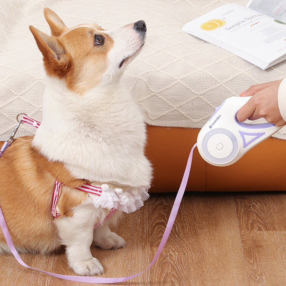Flexi Leash LED Retractable Dog Lead (5m) with Touch-Control Lights | Purple
